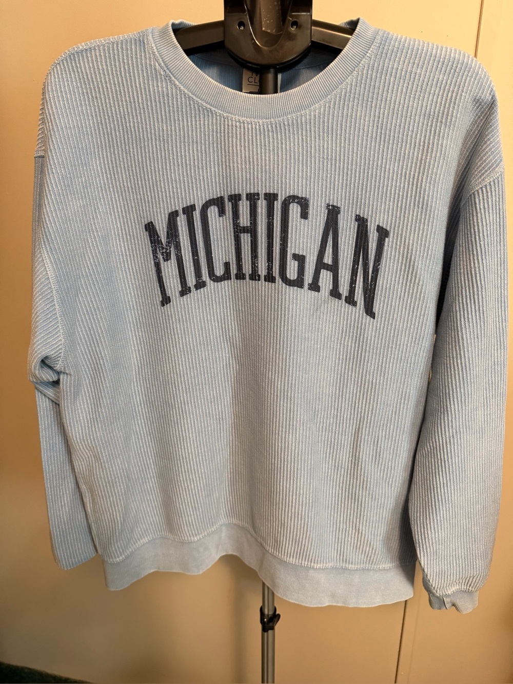 Ivy + Cloth Light Blue Michigan Corded Oversized Crewneck Sweatshirt - Size M